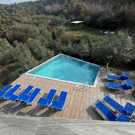 Qyteza Guest House & Camping Σκόδρα Εξωτερικό φωτογραφία