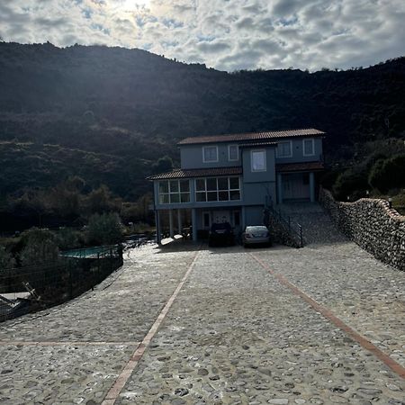 Qyteza Guest House & Camping Σκόδρα Εξωτερικό φωτογραφία