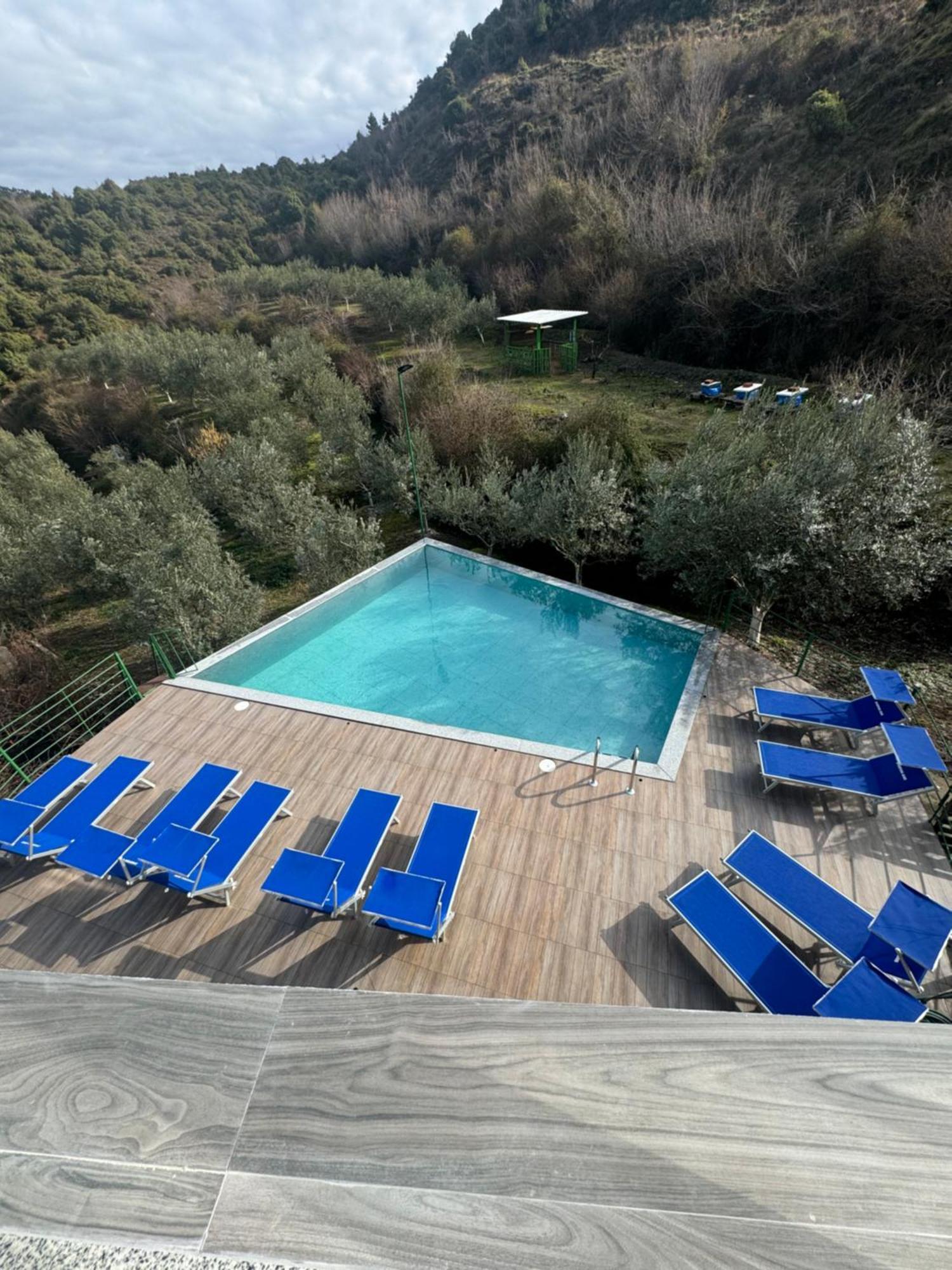 Qyteza Guest House & Camping Σκόδρα Εξωτερικό φωτογραφία